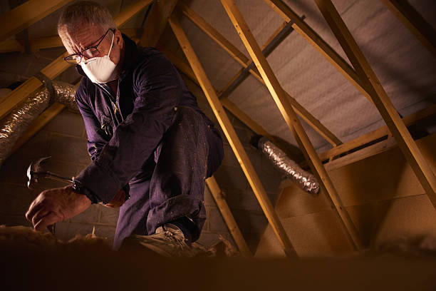 Best Eco-Friendly Insulation in Miamitown, OH